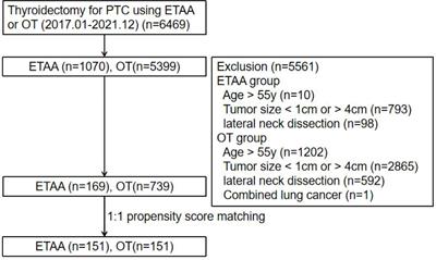 Comparison of the endoscopic thyroidectomy via areola approach and open thyroidectomy: A propensity score matched cohort study of 302 patients in the treatment of papillary thyroid non-microcarcinoma